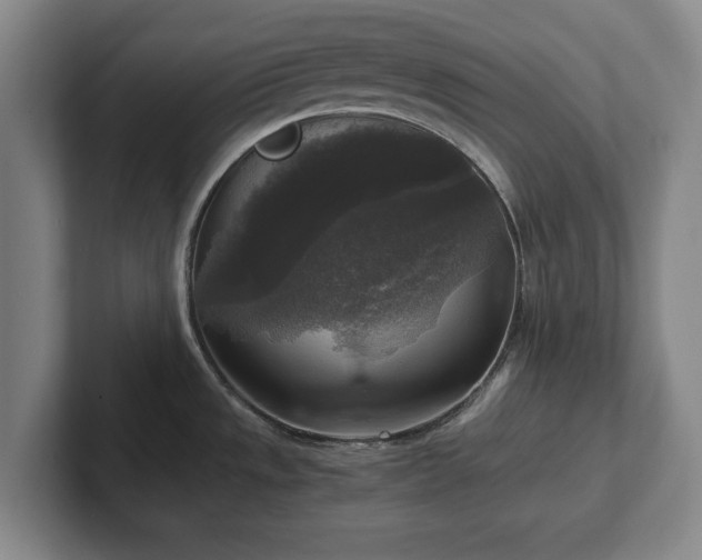 X0000102521533200808151521