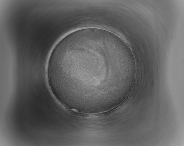 X0000102521536200808151521