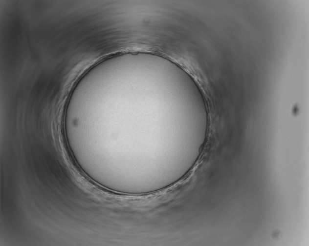 X0000102520001200808221852