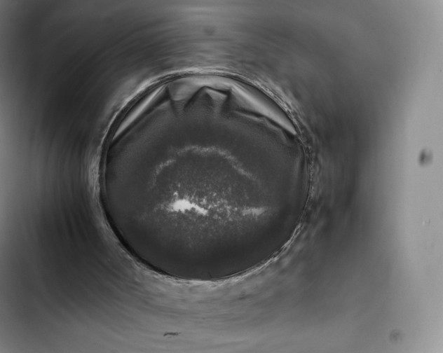 X0000102520002200808221852