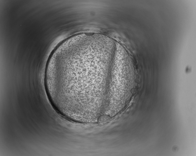 X0000102520003200808221852