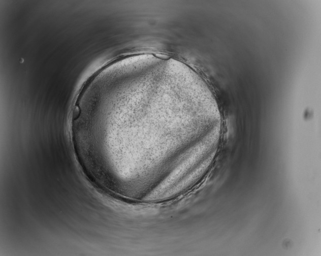 X0000102520004200808221852