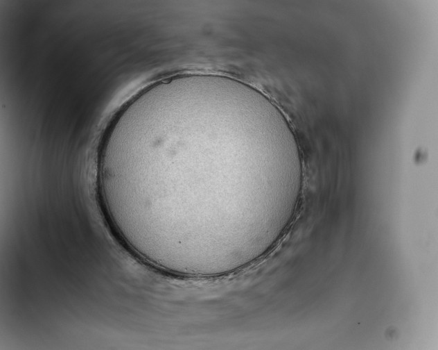 X0000102520005200808221852