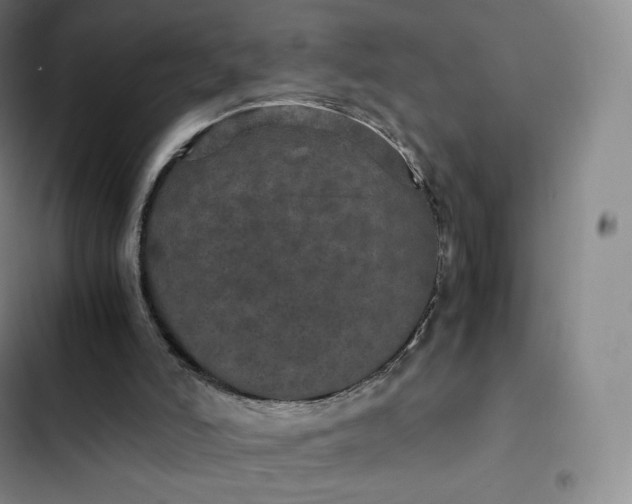 X0000102520006200808221852