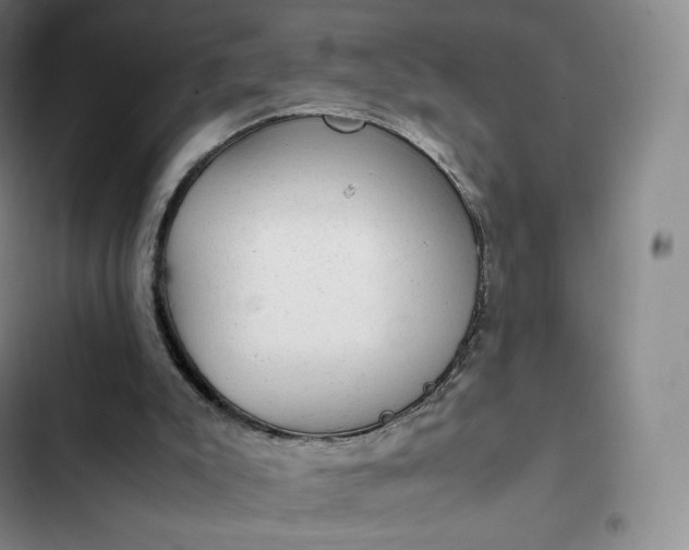 X0000102520007200808221852