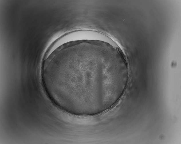 X0000102520008200808221852