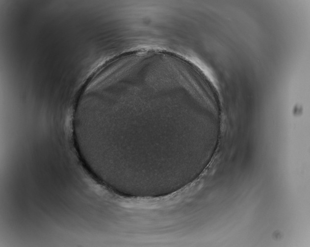 X0000102520009200808221852