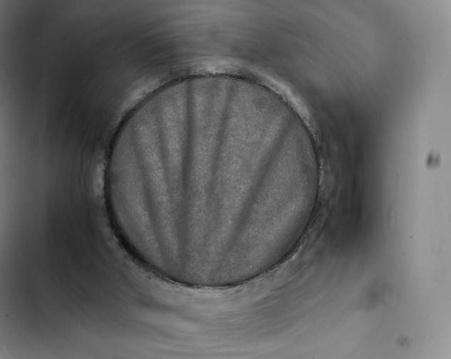 X0000102520010200808221852