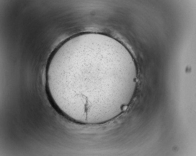 X0000102520011200808221852