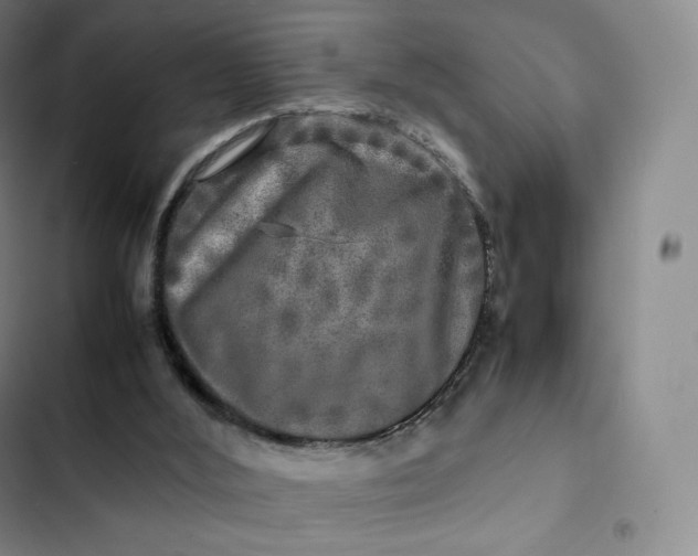 X0000102520012200808221852