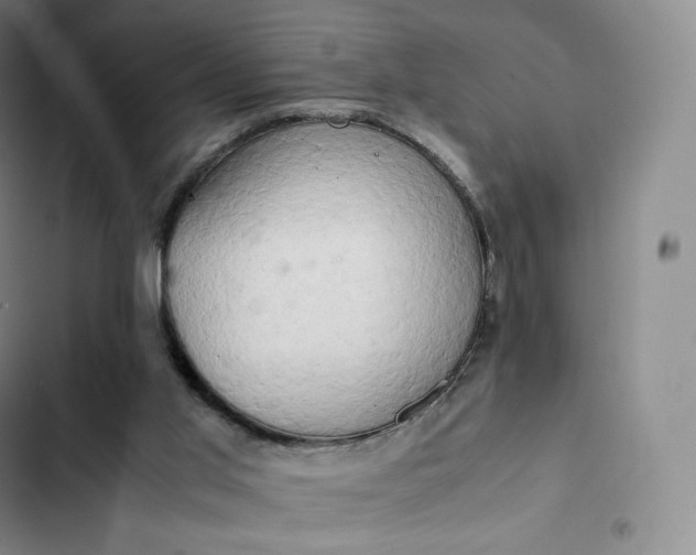 X0000102520013200808221852