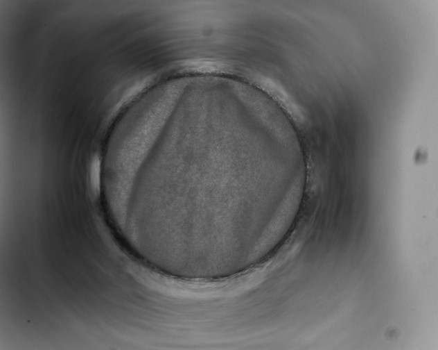 X0000102520014200808221852