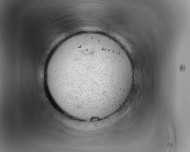 X0000102520015200808221852