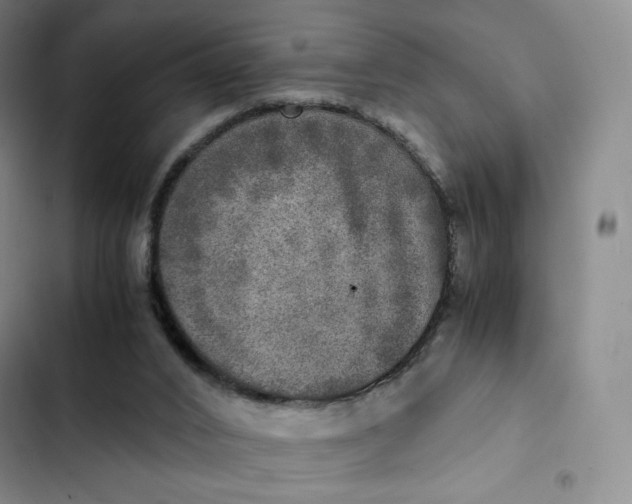 X0000102520016200808221852