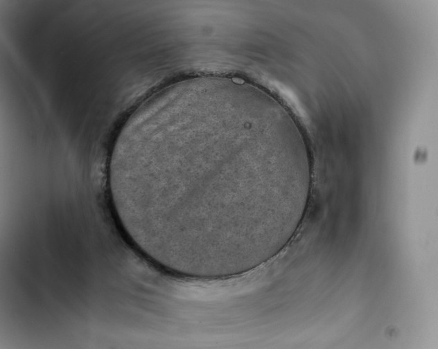 X0000102520017200808221852