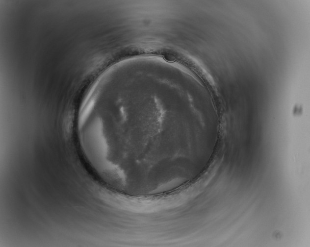 X0000102520018200808221852