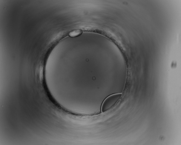 X0000102520019200808221852