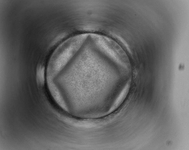 X0000102520020200808221852