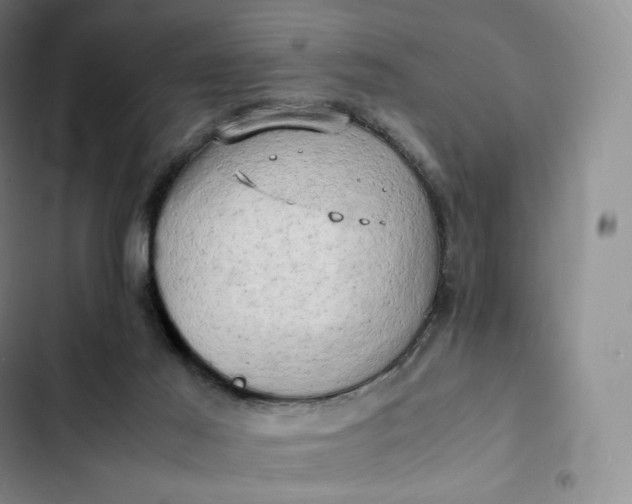 X0000102520021200808221852