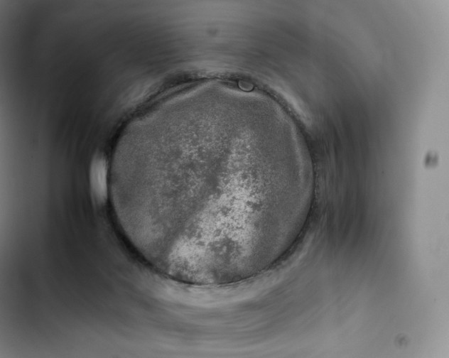 X0000102520022200808221852