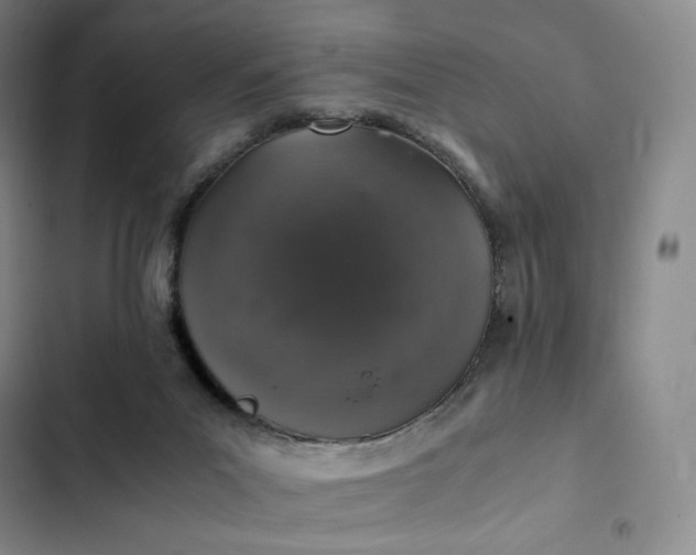 X0000102520023200808221852