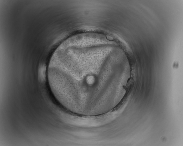 X0000102520024200808221852