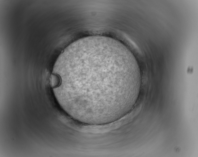 X0000102520025200808221852