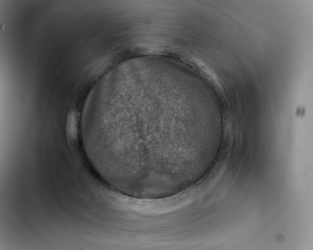 X0000102520026200808221852