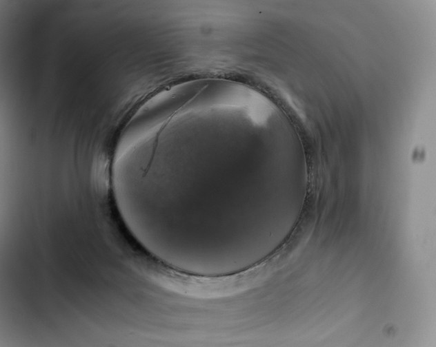 X0000102520027200808221852