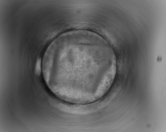 X0000102520028200808221852