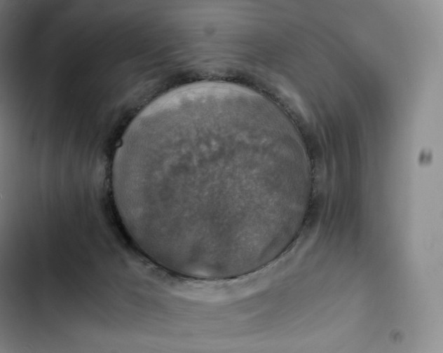 X0000102520029200808221852