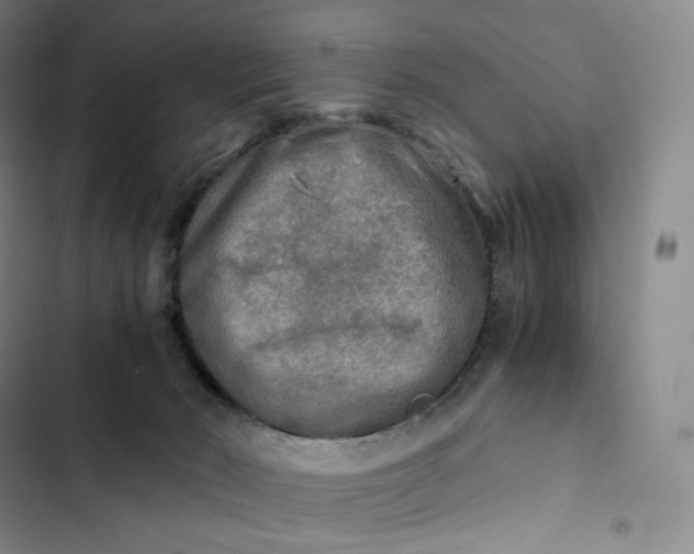 X0000102520030200808221852