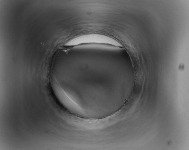 X0000102520031200808221852