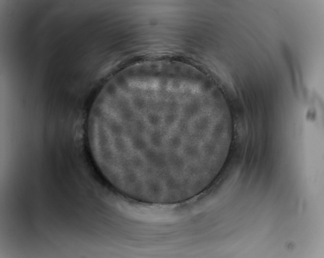 X0000102520032200808221852