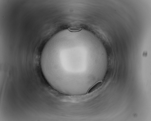 X0000102520033200808221852