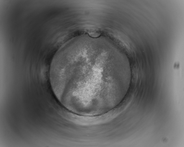 X0000102520034200808221852