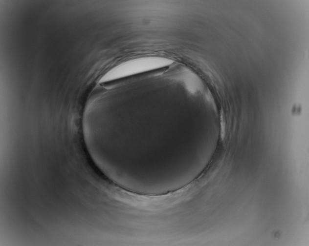 X0000102520035200808221852