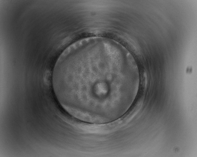 X0000102520036200808221852