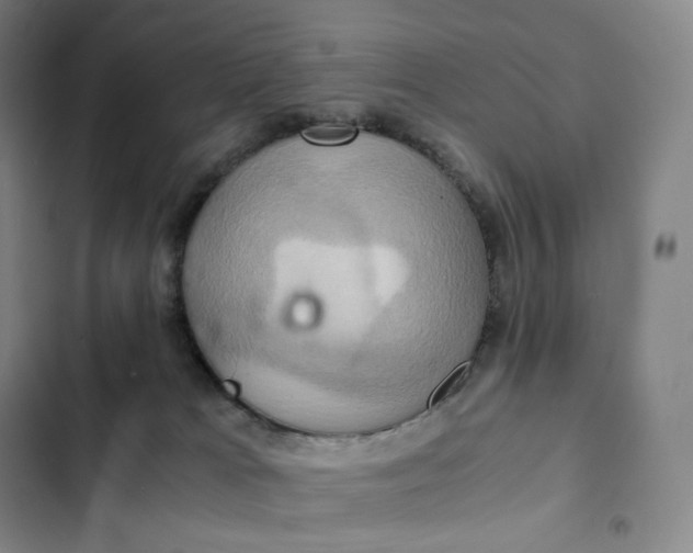 X0000102520037200808221852