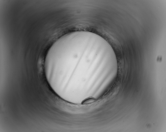 X0000102520038200808221852