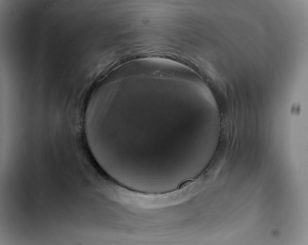 X0000102520039200808221852