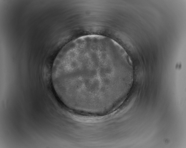 X0000102520040200808221852