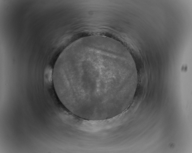 X0000102520041200808221852