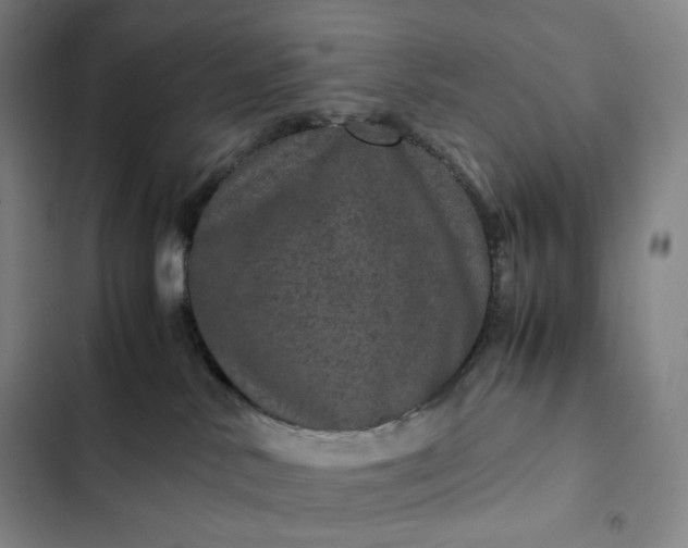 X0000102520042200808221852