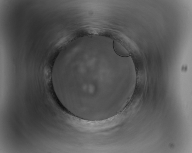 X0000102520043200808221852