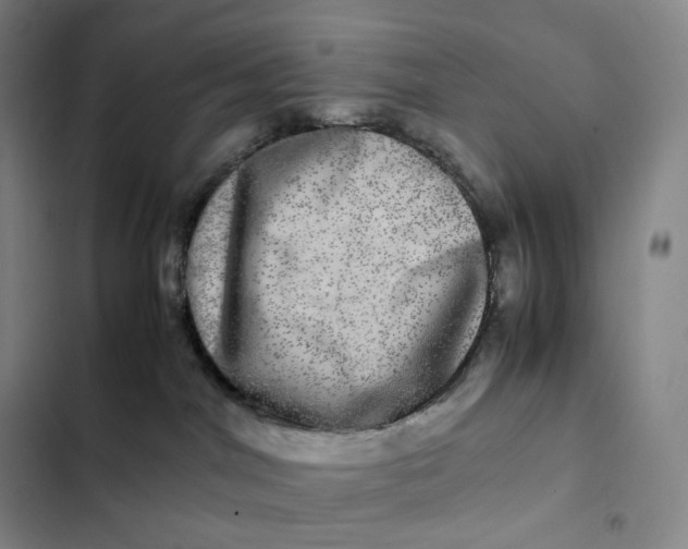 X0000102520044200808221852