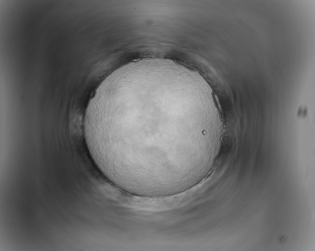 X0000102520045200808221852