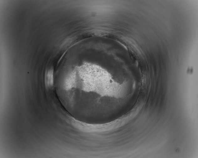 X0000102520046200808221852