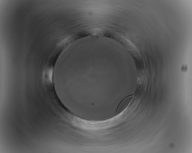 X0000102520047200808221852