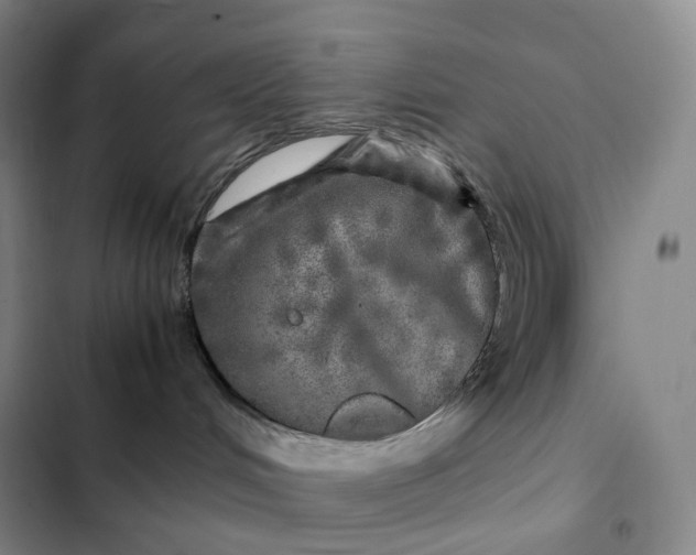 X0000102520048200808221852